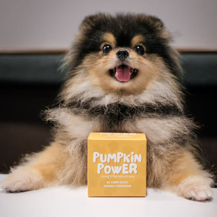 Pumpkin Power