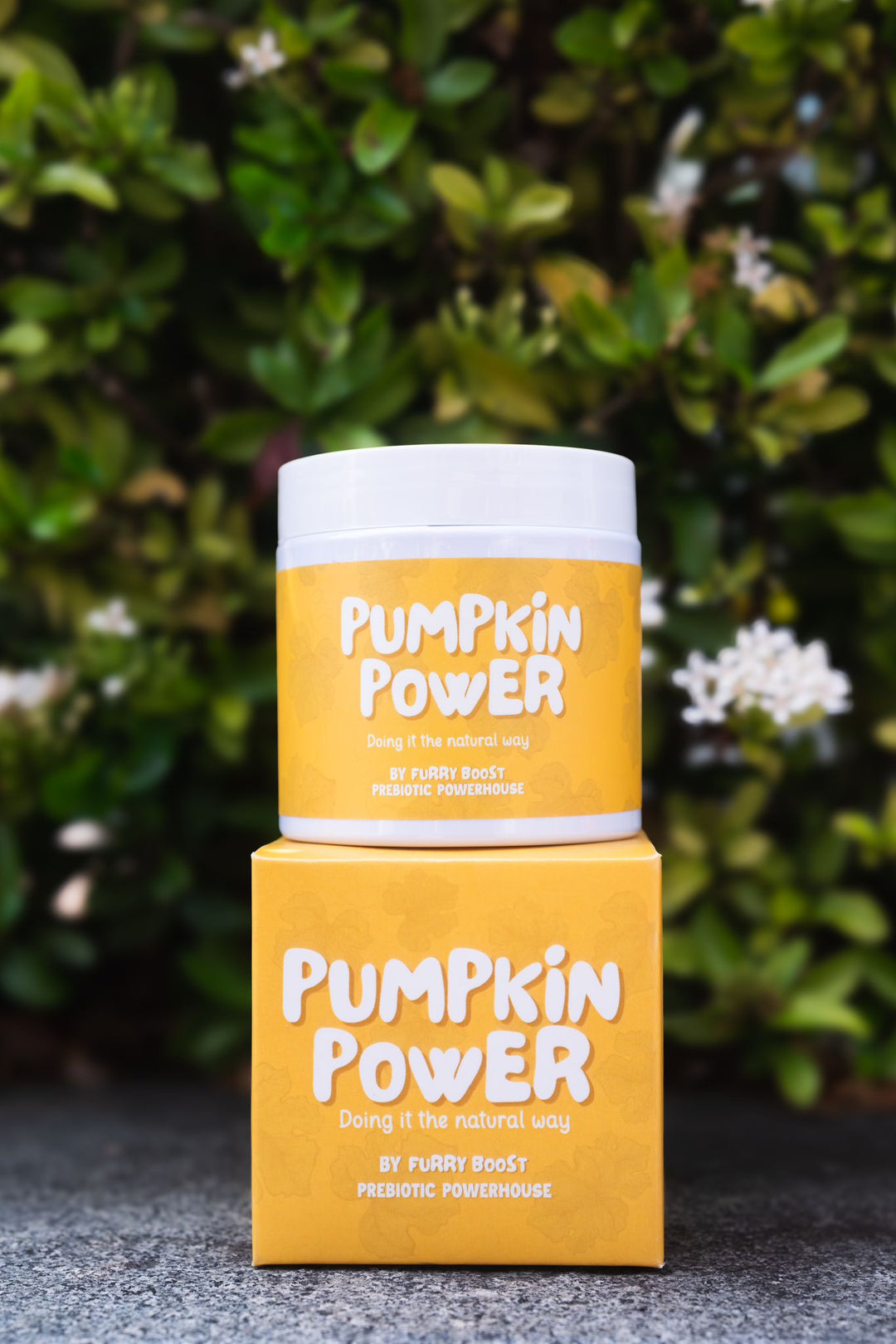 Pumpkin Power