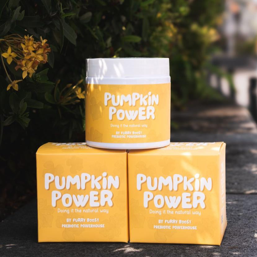 Pumpkin Power