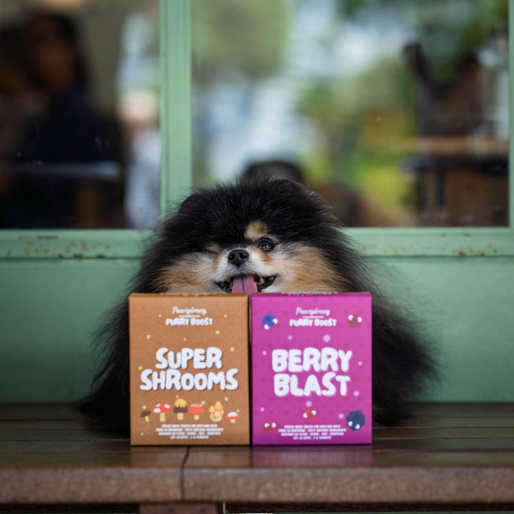 Pawspiracy x Furry Boost