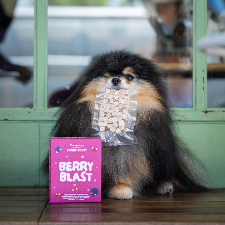 Pawspiracy x Furry Boost