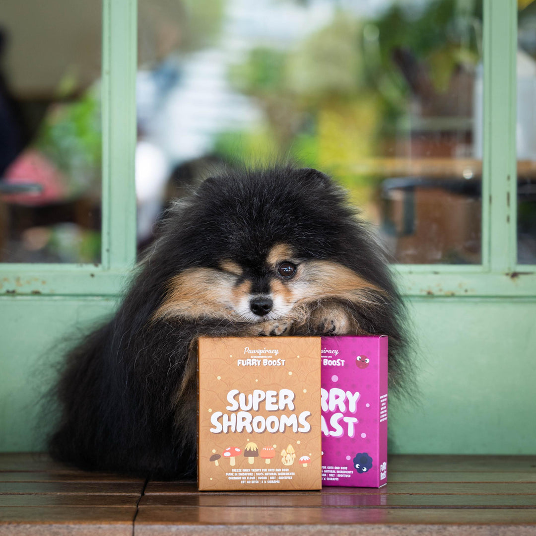 Pawspiracy x Furry Boost