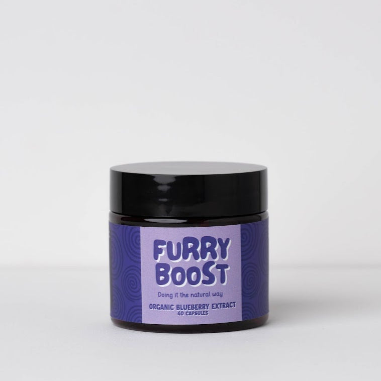 Organic Blueberry Extract